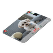 Magnet Flexible Joyeux Carte photo de Noël de animal de compagnie (Côté Gauche)