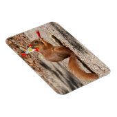 Magnet Flexible Joyeux écureuil d'anniversaire (Côté Droit)