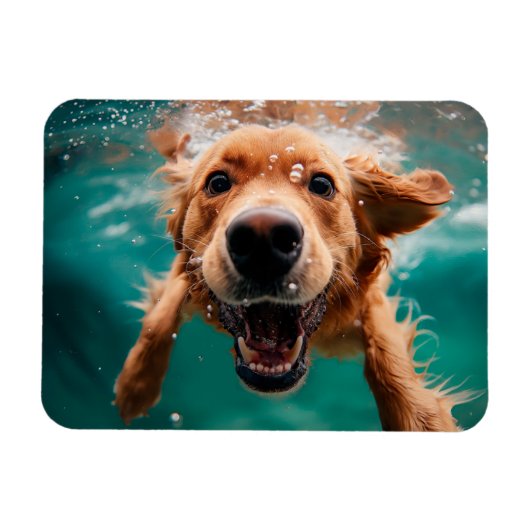 Magnet Flexible Joyeux Golden Retriever nager sous l'eau (Horizontal)