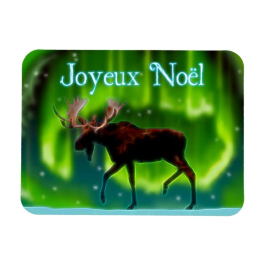 Magnet Flexible Joyeux Noё l - Oie des aurores nordiques (Horizontal)