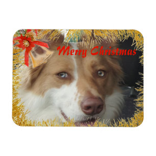 Magnet Flexible Joyeux Noël Pet Photo