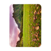 Magnet Flexible Jurassic Sunset (Vertical)