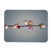 Magnet Flexible Jusqu'à la dernière pétale... (Horizontal)