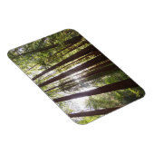 Magnet Flexible Jusqu'aux Séquoias le Matin (Côté Droit)