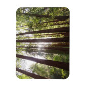 Magnet Flexible Jusqu'aux Séquoias le Matin (Vertical)