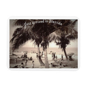 Magnet Flexible Just arrived in Florida! Vintage