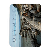 Magnet Flexible Kalaloch Beach Driftwood, Parc National Olympique (Vertical)