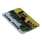 Magnet Flexible Kansas Chevaux dans un pâturage (Côté Droit)