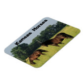 Magnet Flexible Kansas Chevaux dans un pâturage (Côté Gauche)