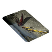 Magnet Flexible Kayaks sur l'île Dicebox, Broken Island Group, (Côté Droit)