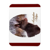 Magnet Flexible Kelpe Art australien (Vertical)