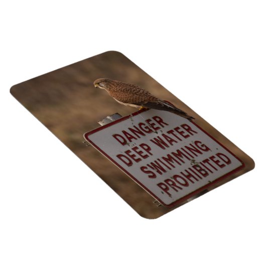 Magnet Flexible Kestrel (Côté Droit)