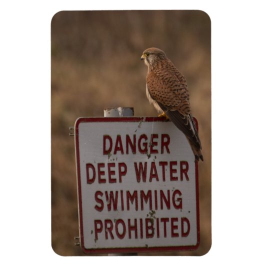 Magnet Flexible Kestrel (Vertical)