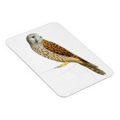 Magnet Flexible Kestrel 2011 (Côté Droit)
