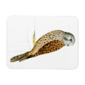 Magnet Flexible Kestrel 2011 (Horizontal)