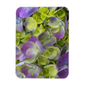 Magnet Flexible Keukenhof Garden Hydrangea (Vertical)