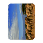 Magnet Flexible Kilimandjaro Et Éléphants (Vertical)