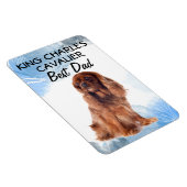 Magnet Flexible King Charles Cavalier (Côté Droit)