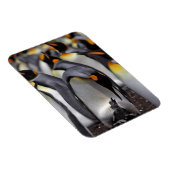 Magnet Flexible King Penguin (Côté Droit)