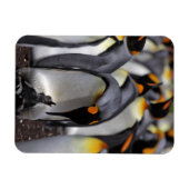 Magnet Flexible King Penguin (Horizontal)