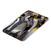 Magnet Flexible King Penguin (Côté Gauche)