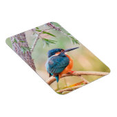 Magnet Flexible Kingfisher Perché sur la branche (Côté Droit)