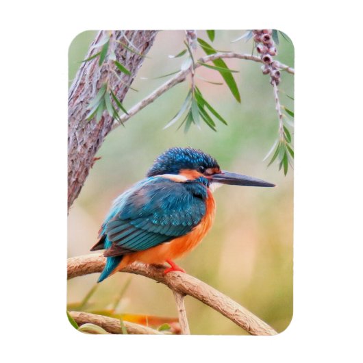 Magnet Flexible Kingfisher Perché sur la branche (Vertical)