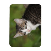 Magnet Flexible Kitten (Vertical)