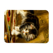 Magnet Flexible Kitten avec peinture et brosses (Horizontal)