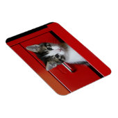 Magnet Flexible Kitten Peeking (Côté Droit)