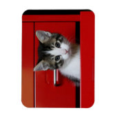 Magnet Flexible Kitten Peeking (Vertical)