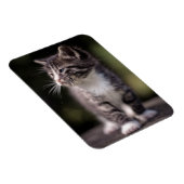 Magnet Flexible Kitten Standing Tall (Côté Droit)
