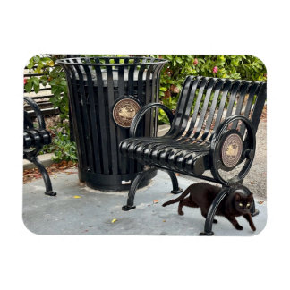 Magnet Flexible Kitty dans le parc