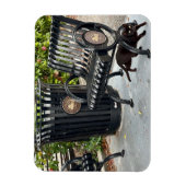 Magnet Flexible Kitty dans le parc (Vertical)