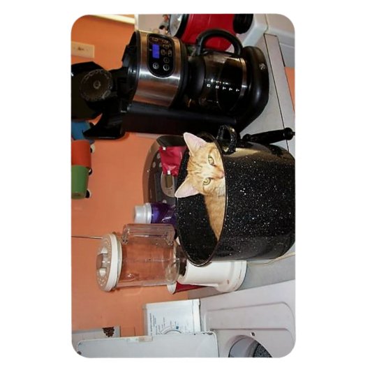Magnet Flexible Kitty Stew (Vertical)