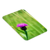 Magnet Flexible Knapweed (Côté Droit)