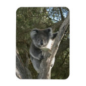 Magnet Flexible Koala (Vertical)