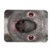 Magnet Flexible Koala (Horizontal)
