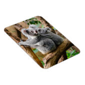 Magnet Flexible Koala avec bébé dans un arbre en Australie (Côté Droit)