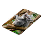 Magnet Flexible Koala avec bébé dans un arbre en Australie (Côté Gauche)