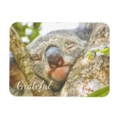 Magnet Flexible Koala Bear Gratitude (Horizontal)