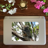 Magnet Flexible Koala - Dormir