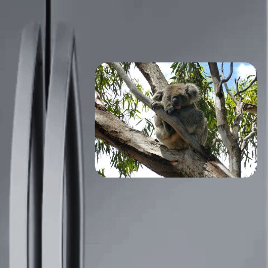 Magnet Flexible Koala - Dormir