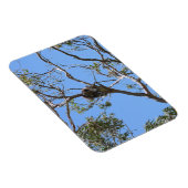 Magnet Flexible Koala Nap (Côté Droit)