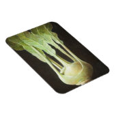 Magnet Flexible Kohl Rabi 2012 (Côté Droit)