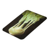 Magnet Flexible Kohl Rabi 2012 (Côté Gauche)