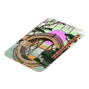 Magnet Flexible Koinobori Flottant avec le Vent