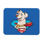 Magnet Flexible Krypto S-Shield Graphic (Horizontal)