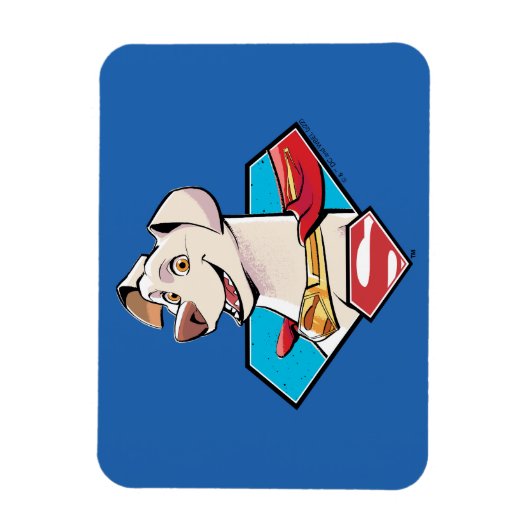 Magnet Flexible Krypto S-Shield Graphic (Vertical)
