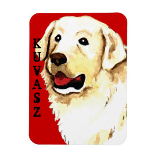 Magnet Flexible Kuvasz Color Block